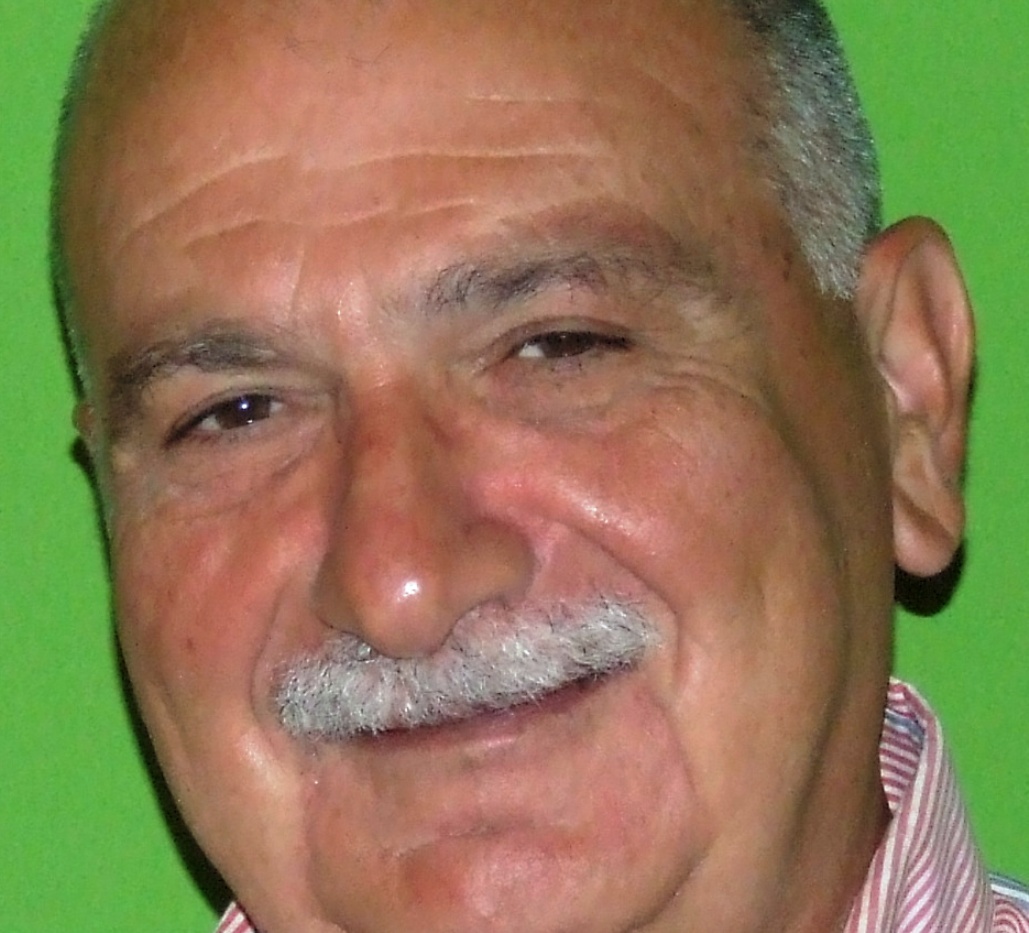 immagine allegata