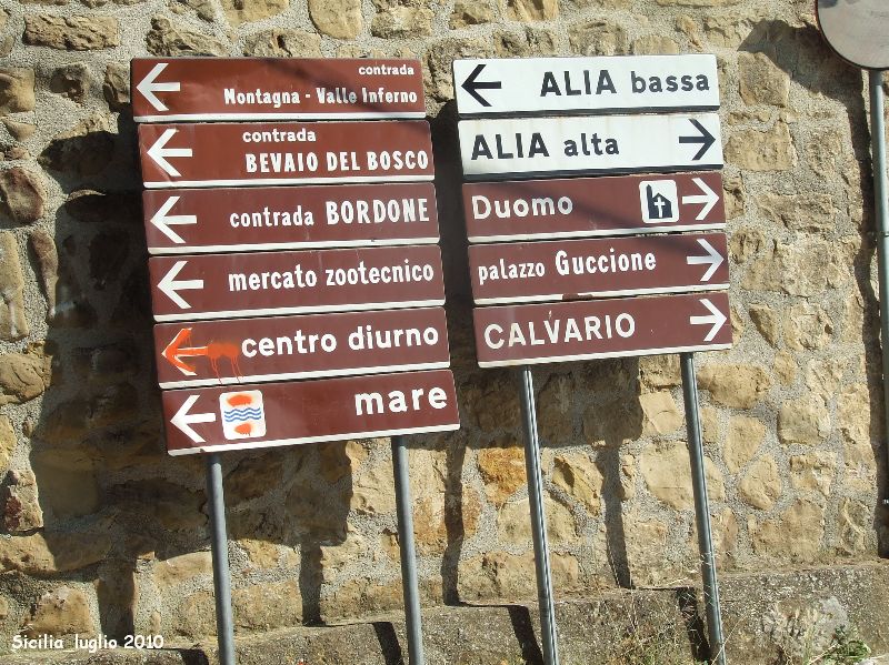 immagine allegata
