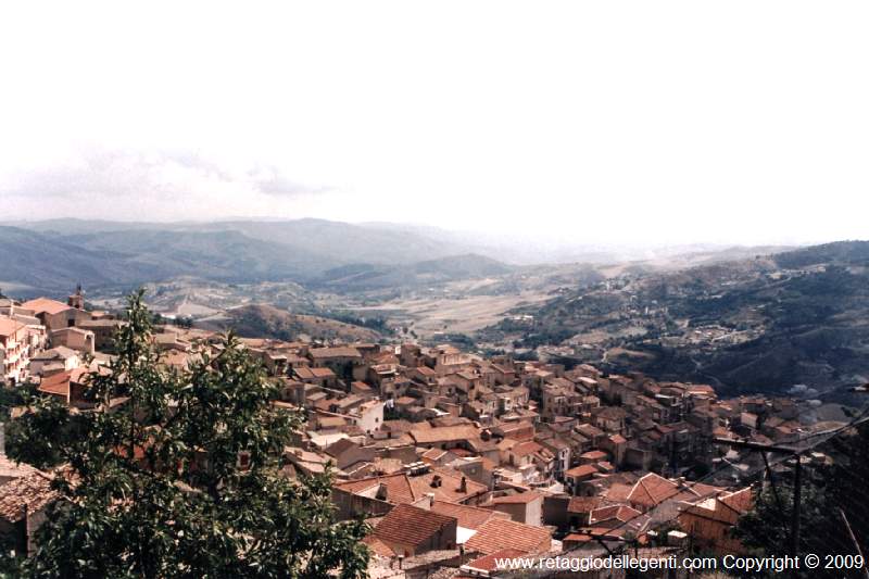 immagine allegata