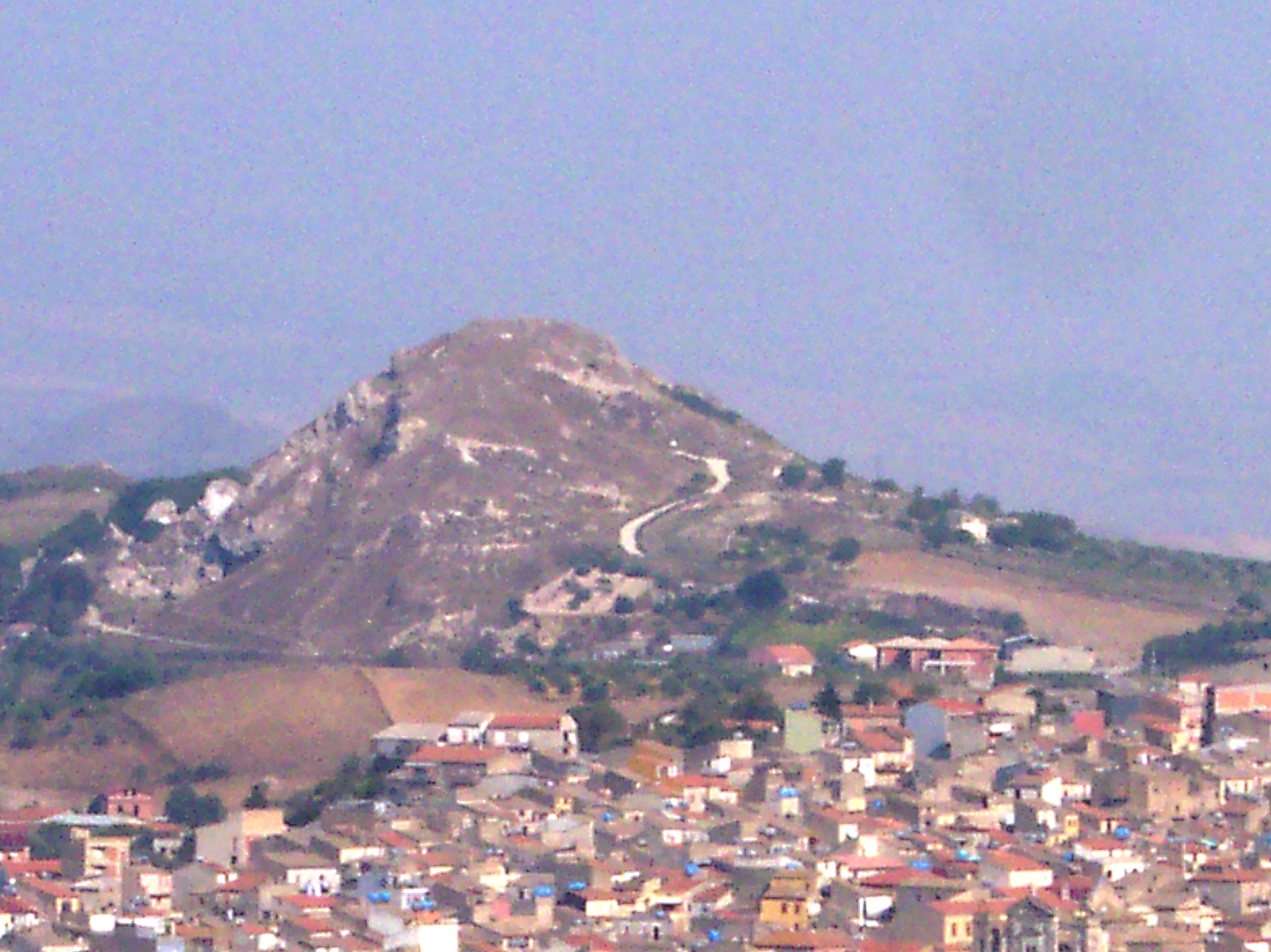immagine allegata