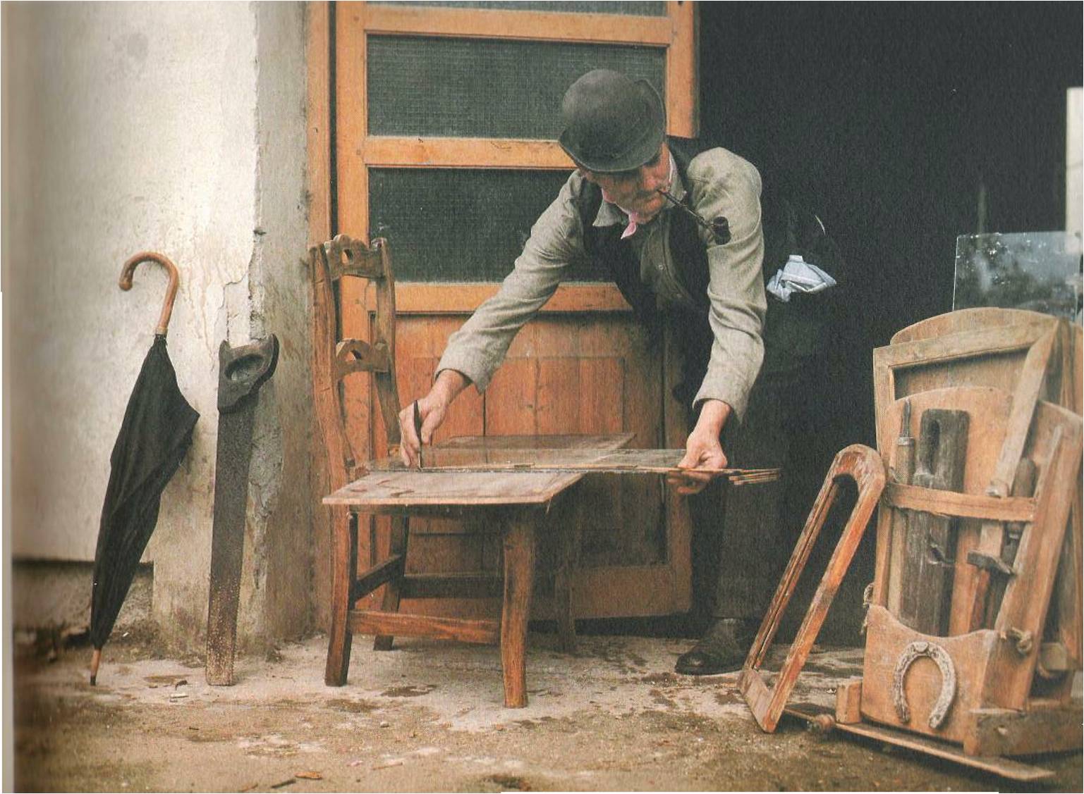 immagine allegata