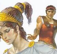 immagine allegata
