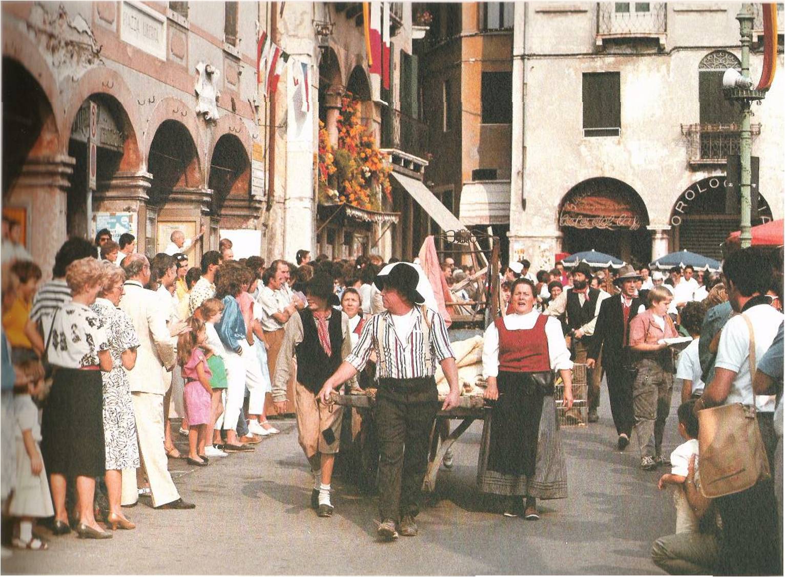 immagine allegata