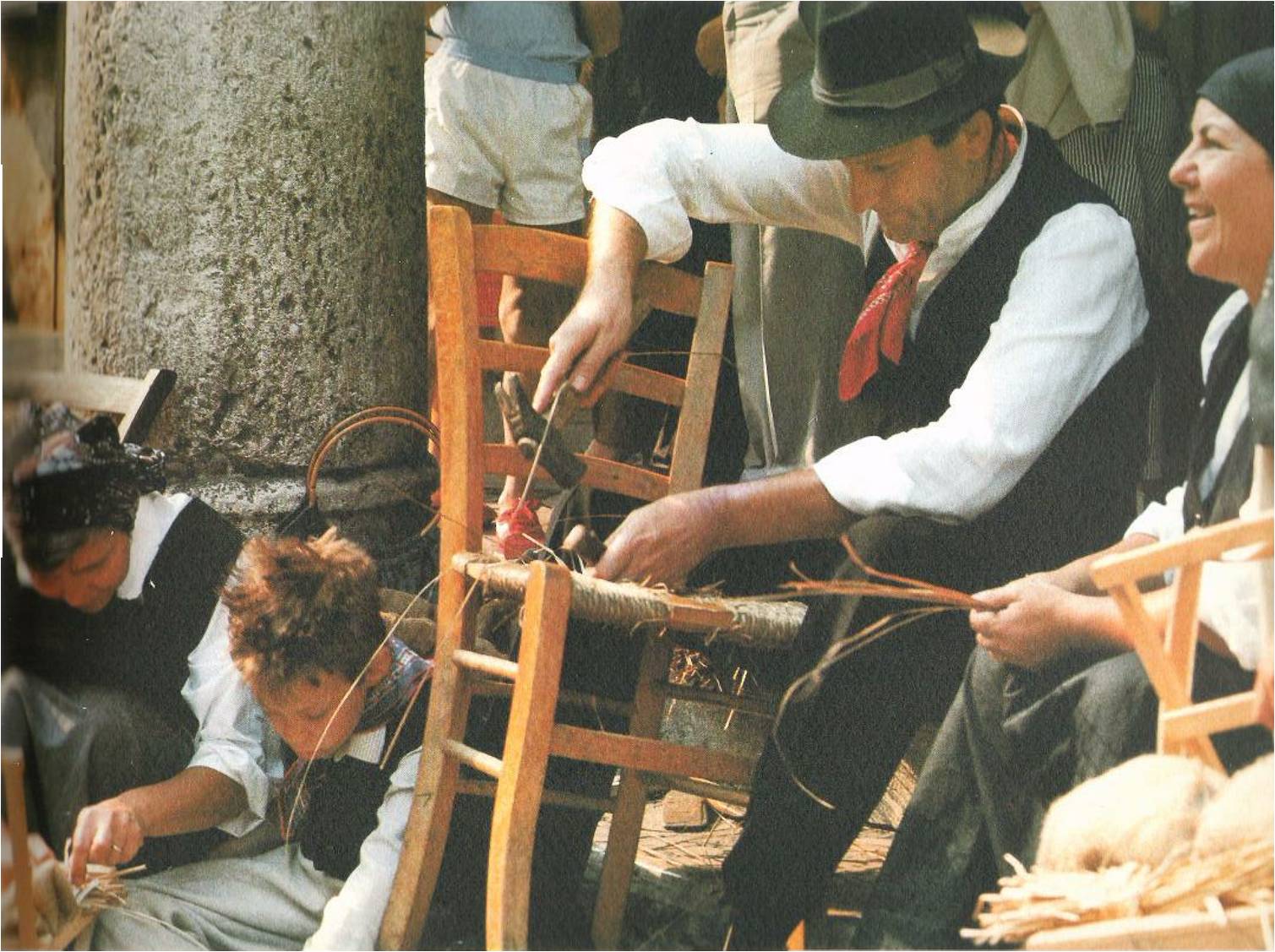 immagine allegata