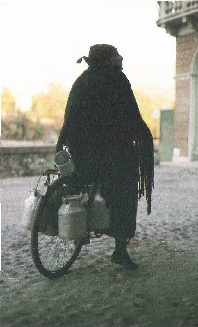 immagine allegata