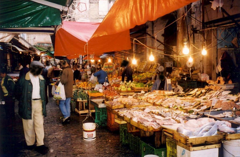 immagine allegata
