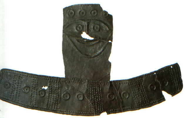 immagine allegata