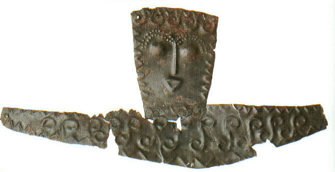 immagine allegata