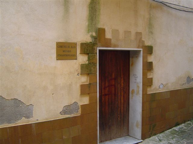 immagine allegata