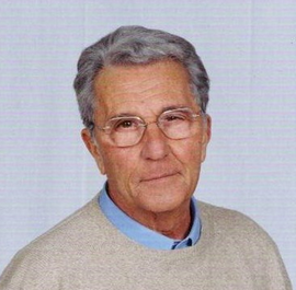 immagine allegata