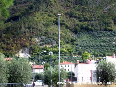 immagine allegata