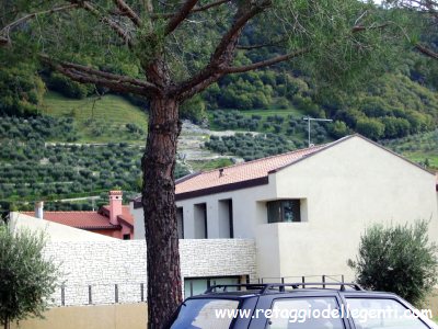 immagine allegata