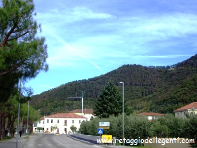 immagine allegata