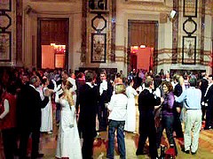 immagine allegata