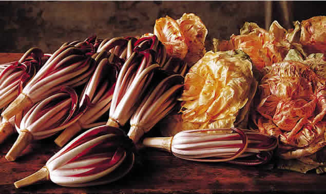 immagine allegata