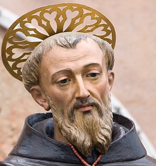immagine allegata