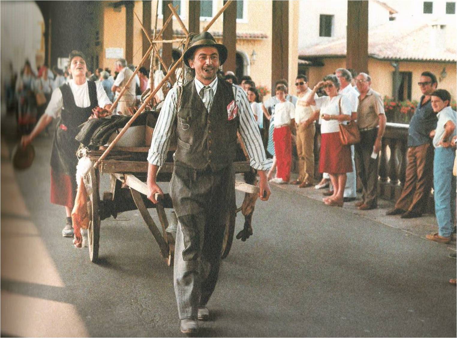 immagine allegata