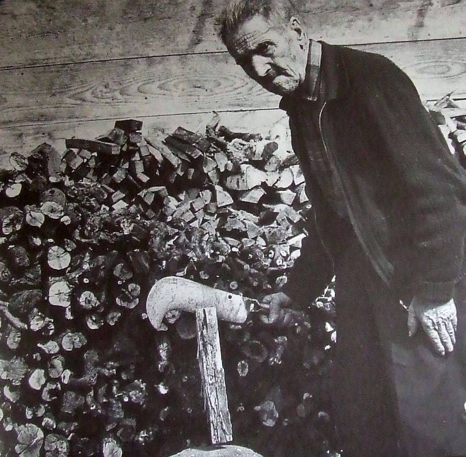 immagine allegata