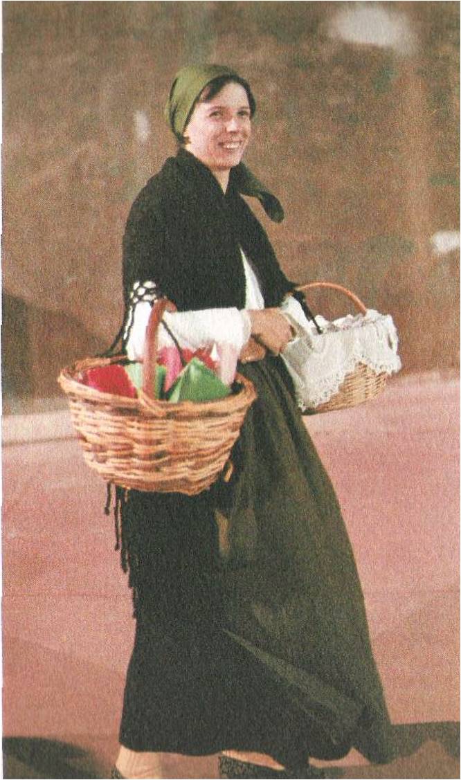 immagine allegata