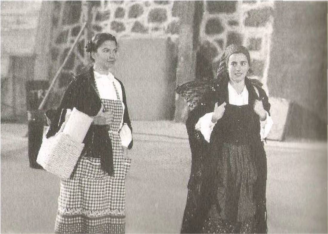 immagine allegata