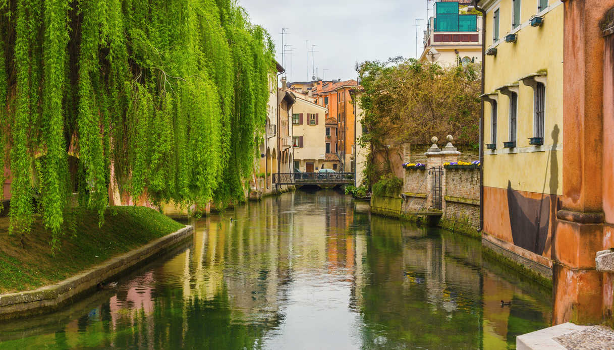Consulta la localit : TREVISO  (Veneto)