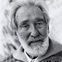 immagine allegata
